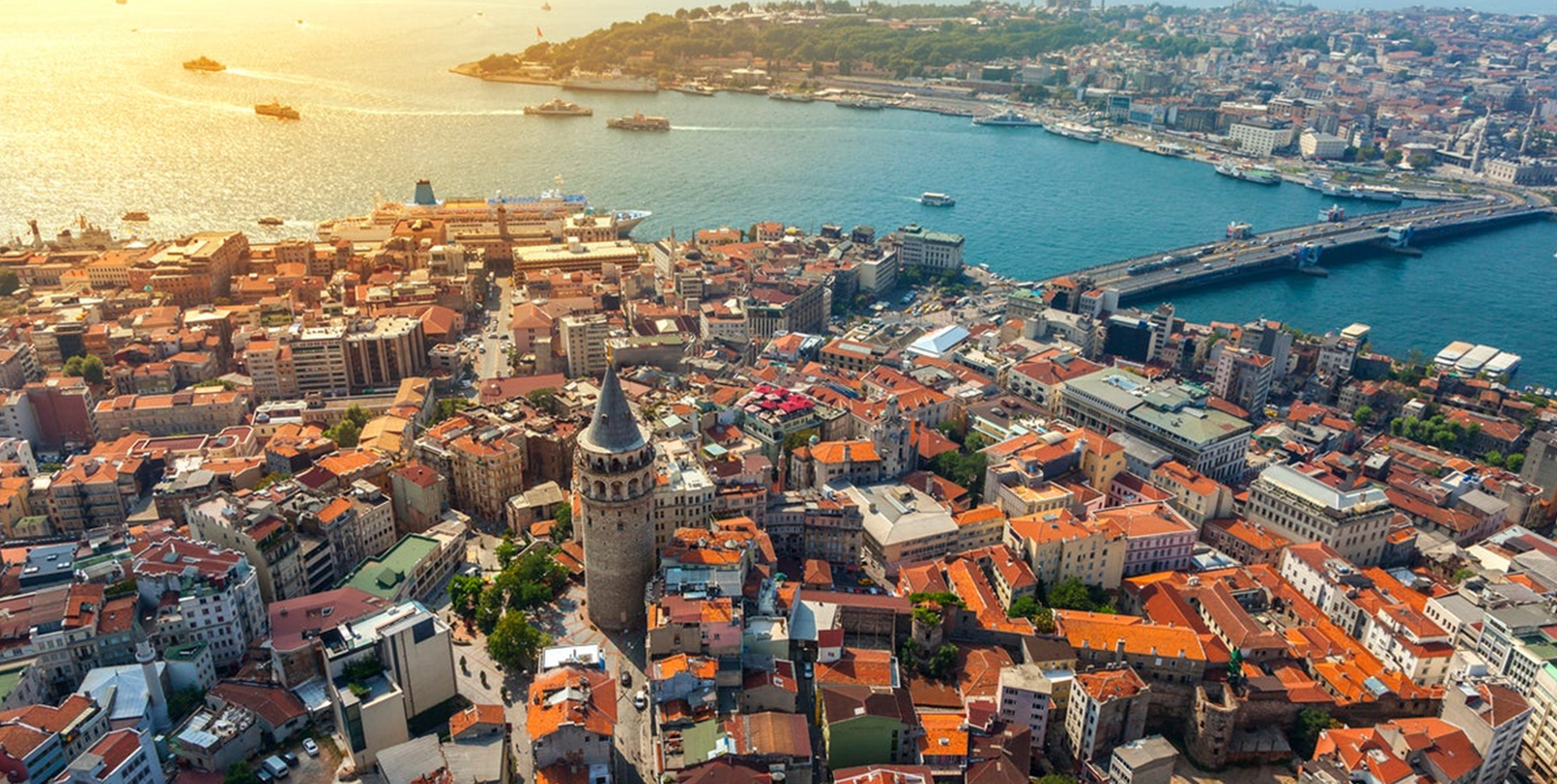 turkey